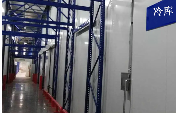 氨浓度在线检测仪：化工与冷链安全的智能哨兵