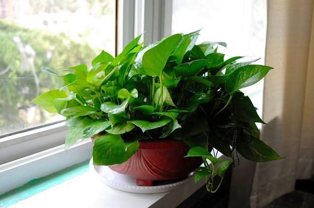 1645846281669011.jpg 20190104114704_j36cgmjjl0.jpg